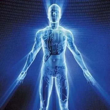 The human body illustrated as an energy circuit